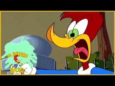 El Pájaro Loco en Español, El Pájaro Loco Vs Wally Walrus, Dibujos  Animados