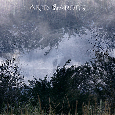 Introducing Arid Garden