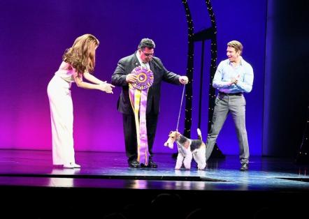 Winner Of 2019 Westminster Dog Show Makes Broadway Debut In "Pretty Woman: The Musical"