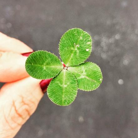 How To Be Lucky Every Day? Simple Ways To Improve Your Chances For Good Luck