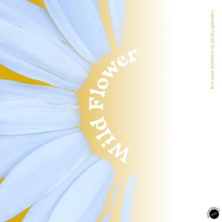 Richard Dobeson Announces New Single 'Wild Flower' With Gabriel Cassany
