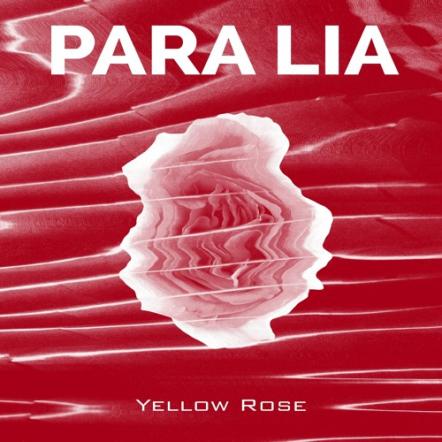 Indie Rock/ Postpunk Duo Para Lia Presents 'Yellow Rose' Single, Mirroring The Fragility Of Life