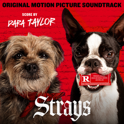 Back Lot Music & Universal Pictures Releases The Strays Original Motion Picture Soundtrack With Music By Dara Taylor
