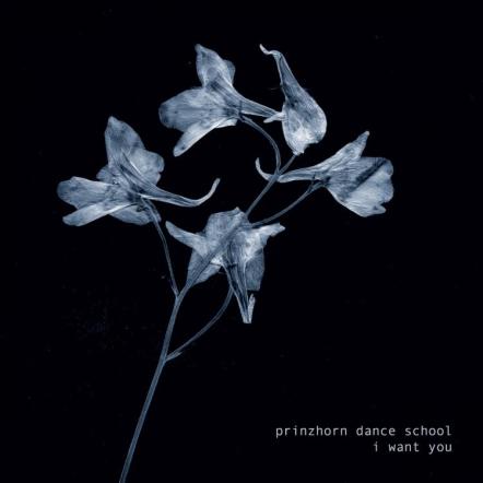 Prinzhorn Dance School Release "I Want You" Single EP + MP3