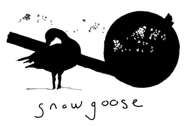 Snowgoose Releases 'Harmony Springs' On December 3, 2012