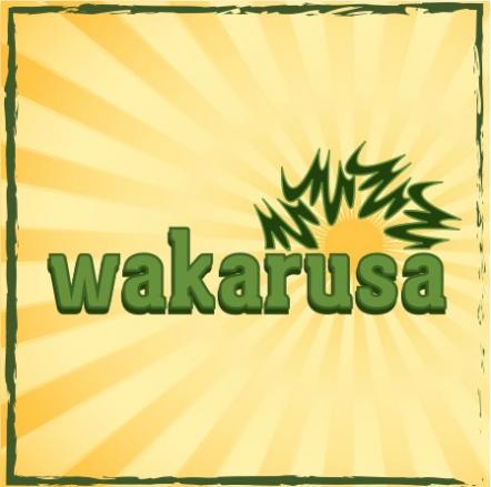 Wakarusa - 10 Years Of Great Music And Good Times