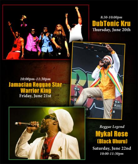 Kalamazoo Hosts Michigan's Largest Reggae Festival This Weekend