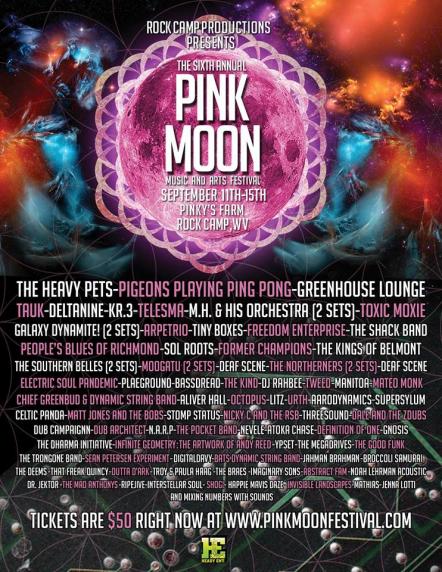 Pink Moon Festival 6