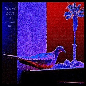 Sitting Dove Releases His New 'Blossom' Album On September 30, 2014
