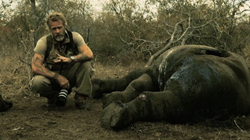 Breakthrough Rhino Documentary Turns To Crowdfunding To Expose The Horrific Business Of Poaching