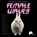 Various Artists - Female Waves Vol.1