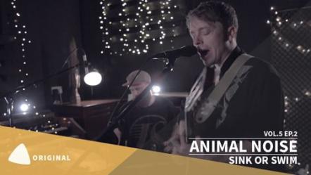 Animal Noise - From A Cowshed In East Anglia To The Radio 1 Playlist