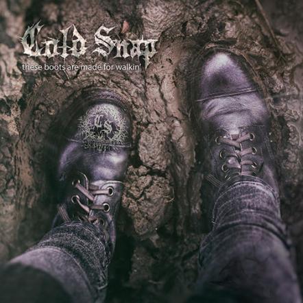 Cold Snap Cover 'These Boots Are Made For Walkin', New Single Out Today!