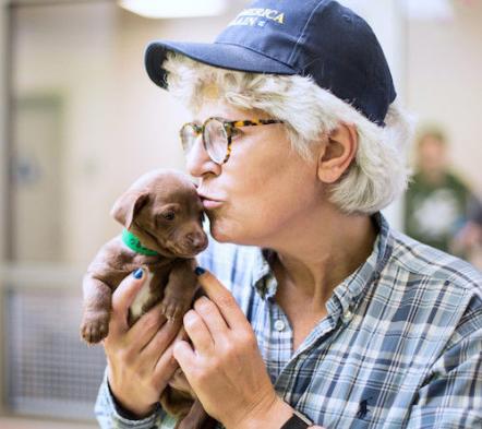 Terminally Ill Award-Winning Filmmaker Dedicates The Rest Of Her Life To Saving Dogs