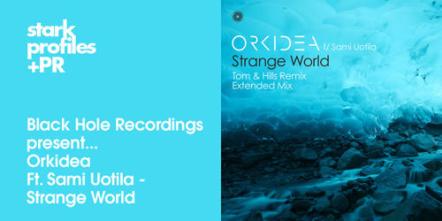 Orkidea Ft. Sami Uotila - Strange World