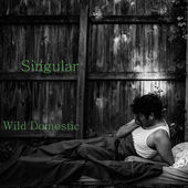Wild Domestic Delivers Haunting Message In New EP "Singular"