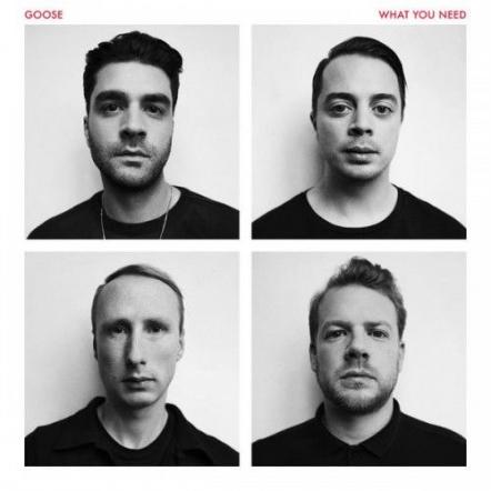 Belgian Electronic Outfit Goose Announce New Album 'What You Need'