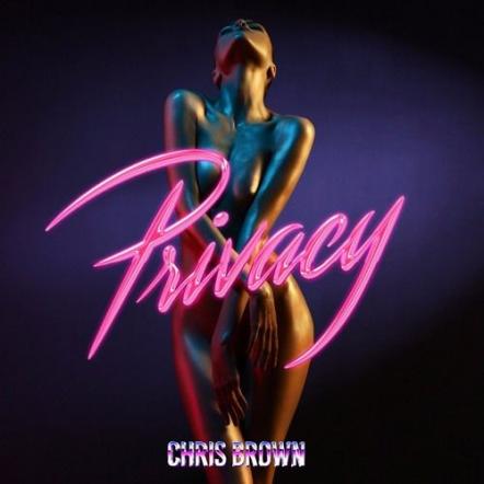 Chris Brown Wants Good Loving, Touching & 'Privacy' On New Song