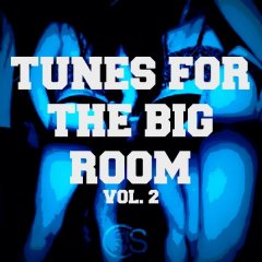 Various Artists - Tunes For The Big Room, Vol 2