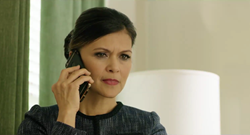 CatMedia Entertainment Casts Nia Peeples In First Feature Film