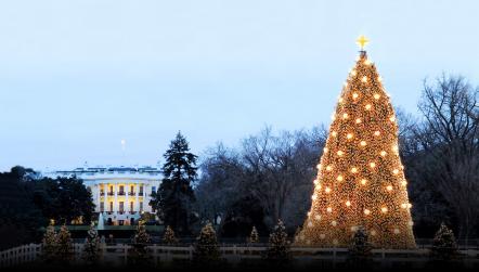 The Beach Boys, Wynonna, And The Texas Tenors Added To The 2017 National Christmas Tree Lighting Lineup