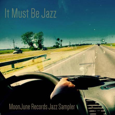 Leonardo Pavkovic's Moonjune Records Keeps Progressive Jazz & Fusion Alive - A Labor Of Love With His One Man Operation