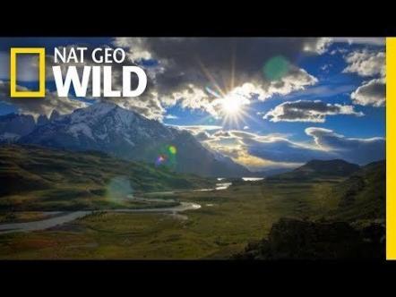 X Ambassadors, Nat Geo Wild Team Up For 'Symphony For Our World'