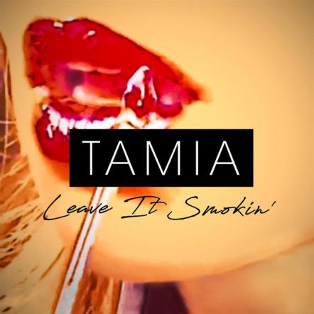 Tamia Makes A Return With "Leave It Smokin'"