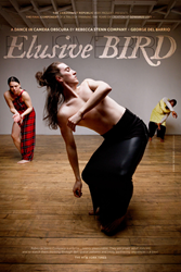 Rebecca Stenn Company Premiers "Elusive Bird" In Brooklyn