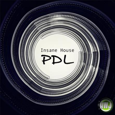 Insane House Releases Techno Single 'PDL'