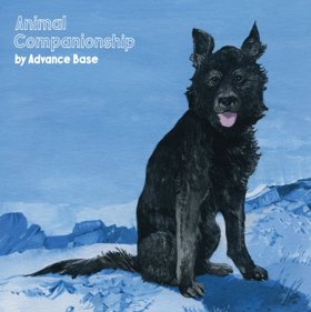 Advance Base Shares 'Your Dog,' New Album 'Animal Companionship' Out Now