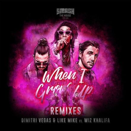 HIDDN And Dimitri Vegas & Like Mike Team Up For Fresh Version Of 'When I Grow Up'