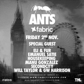 Ants Make Fabric Debut On November 2, 2018