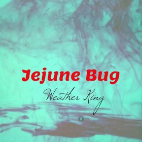 Alternative Rock Band Weather King Releases Single 'Jejune Bug'