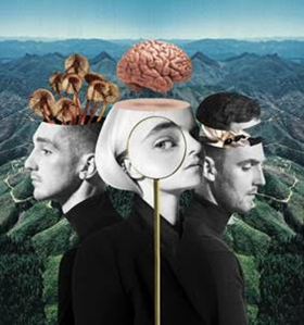 Clean Bandit Releases New Album 'What Is Love?'