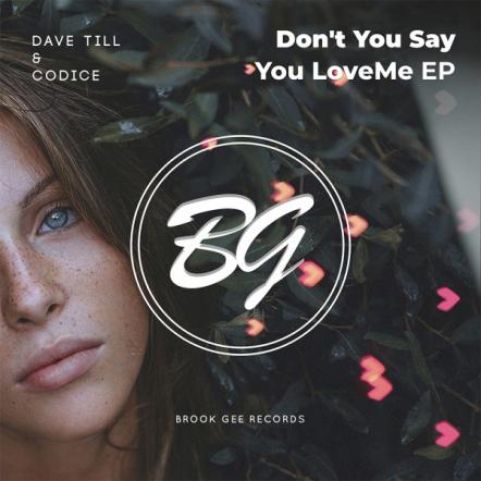 Dave Till & Codice - Don't Say You Love Me EP