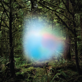Trey Anastasio Announces New Album 'Ghosts Of The Forest'