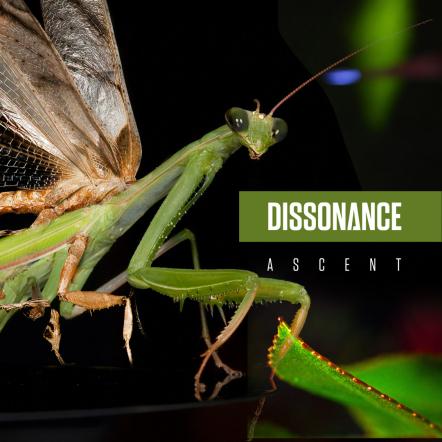 Darkwave Artist Dissonance Announces Her New Album "Ascent"