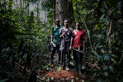Taylor Guitars Makes History With Largest Recorded Planting Of West African Ebony Trees In Cameroon's Congo Basin
