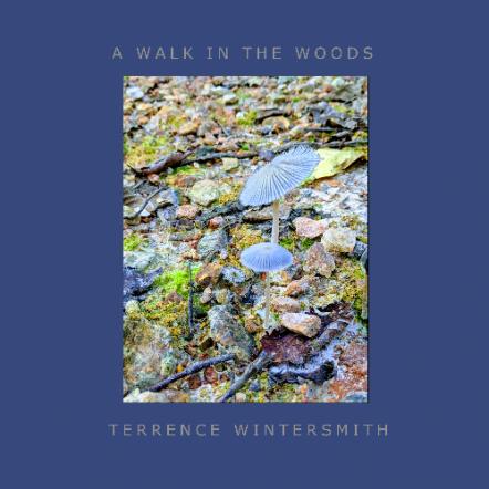 Terrence Wintersmith Releases New "A Walk In The Woods" EP