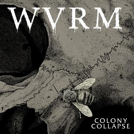 WVRM Will Release Their Highly Anticipated New Album, Colony Collapse - Their First Release For Prosthetic Records.