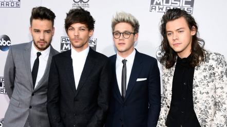 One Direction Reunion Becomes Less Likely