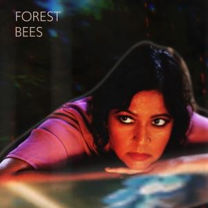 Forest Bees Releases New Album