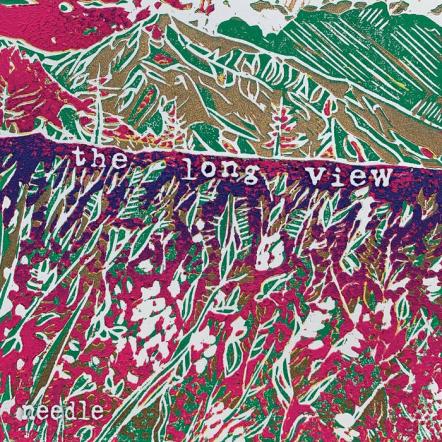 Alt-Rock Duo Needle Release New Collection 'The Long View' On July 17, 2020