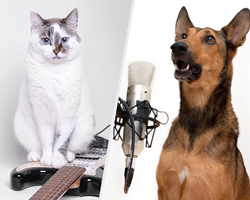 Stars From Music, Television And Film Join Forces For "Songs To Save Them All" Livestream Concert On July 22 To Benefit Best Friends Animal Society