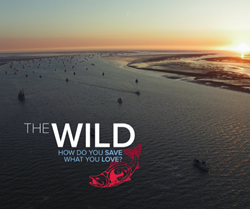 Communities Across America Join Together In A Unique Livestream Screening Event Of The Wild