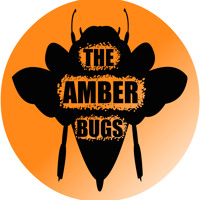 London Art Rockers The Amber Bugs Release New Single 'Rat Vs Mole'