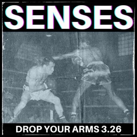 Senses - New Single!