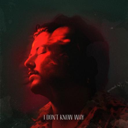 Avaion Muses On Poignancy With New Single 'I Don't Know Why'
