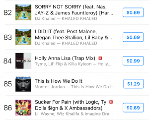 Music Executive "Jeseka Price" Puts Houston And "Holly Anna Lisa" In The iTunes Top #100 Charts